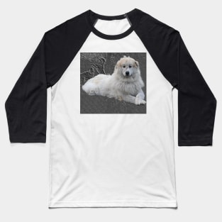 Pyrenees mountain dog in greybackground. Baseball T-Shirt